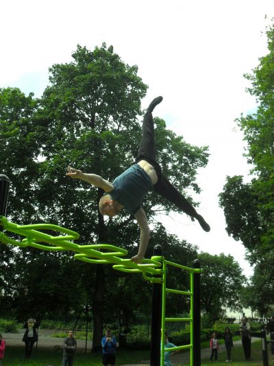 Snake barre – Image 2