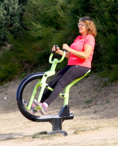 agrès de sport extérieur pour une aire de fitness : Cavalcade