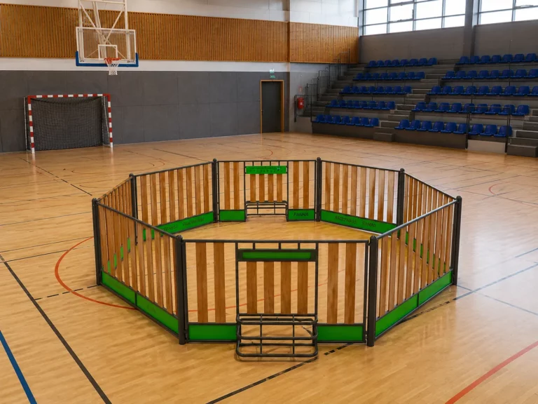 panna soccer indoor