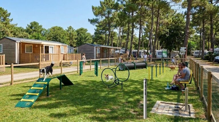 Parc canin en camping équipé d'agrès d'Agility Freetness